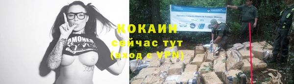 гашик Волоколамск