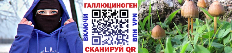 Псилоцибиновые грибы Cubensis  закладка  Евпатория 